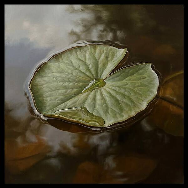 Calm Reflections On Water