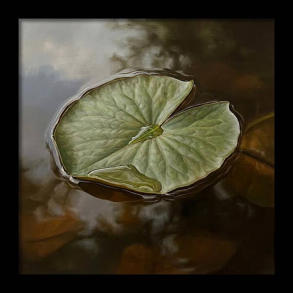Calm Reflections On Water