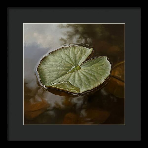 Calm Reflections On Water