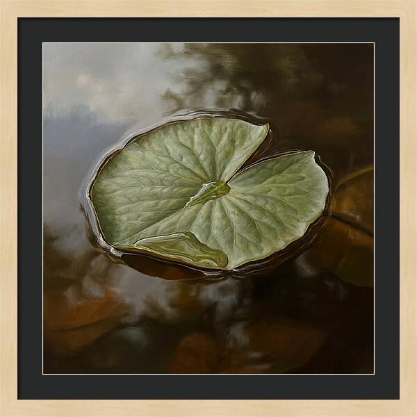 Calm Reflections On Water
