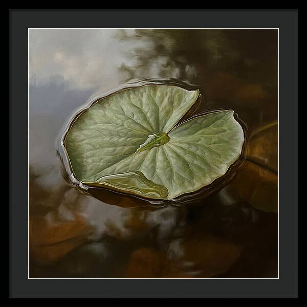 Calm Reflections On Water