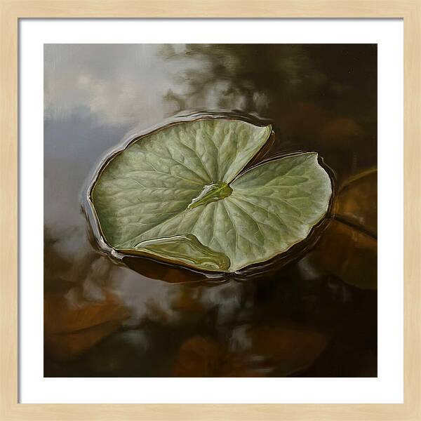 Calm Reflections On Water