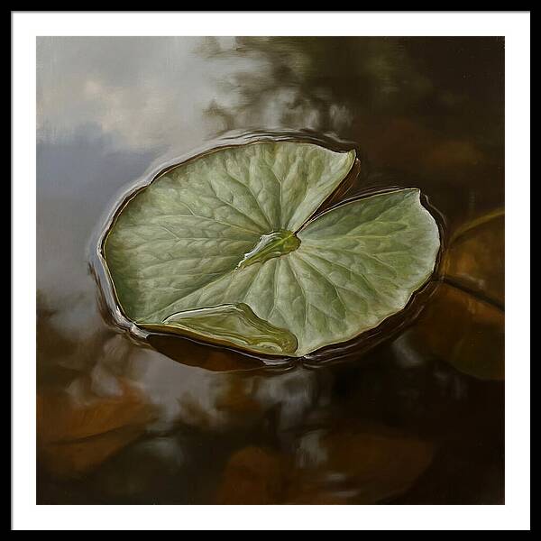 Calm Reflections On Water