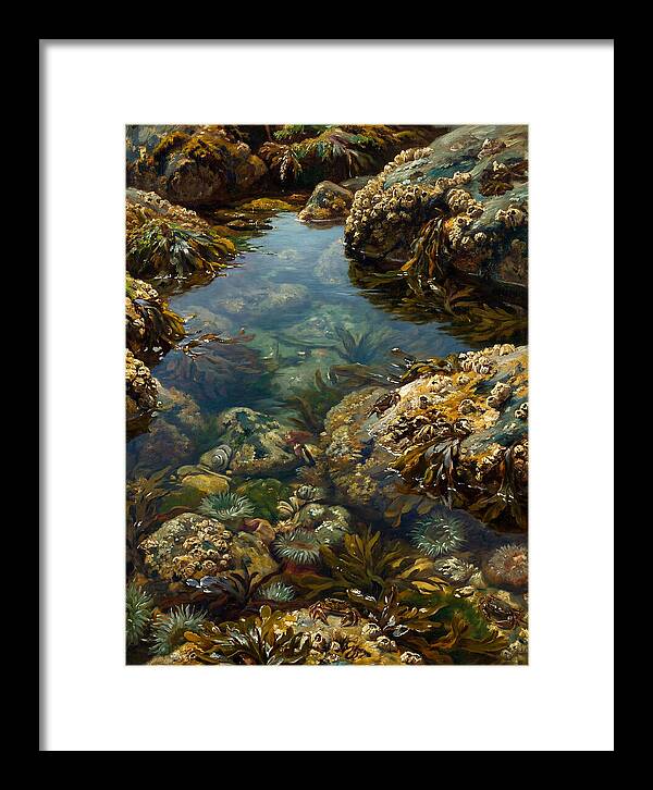 Calm Waters Embrace