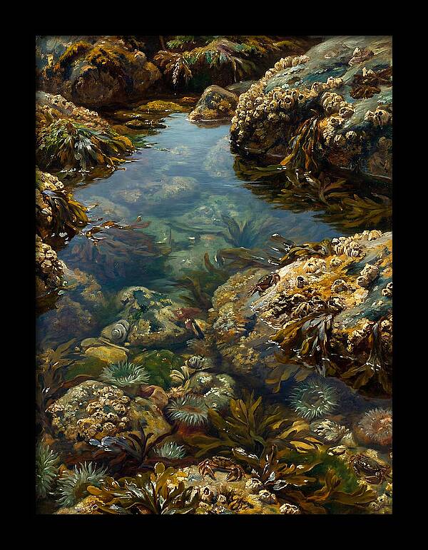 Calm Waters Embrace