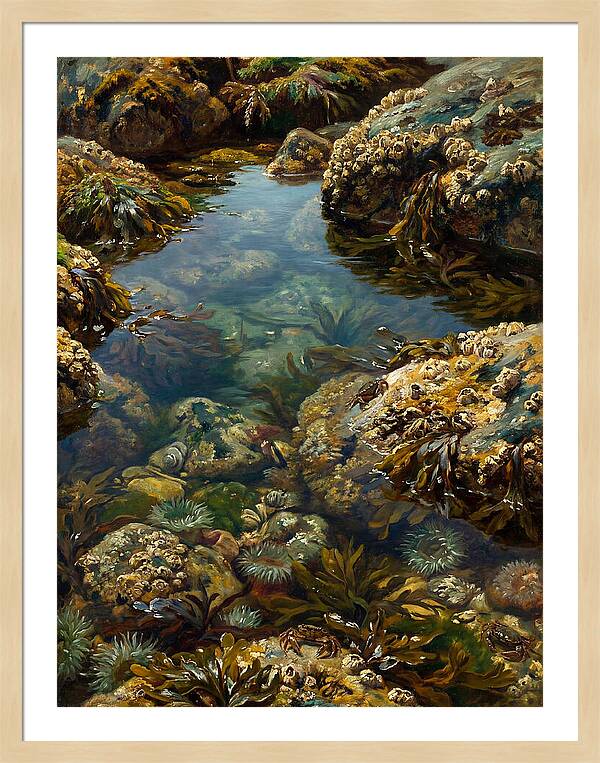Calm Waters Embrace