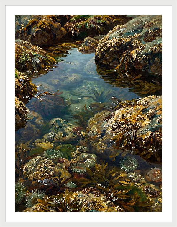 Calm Waters Embrace