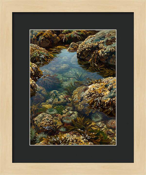 Calm Waters Embrace