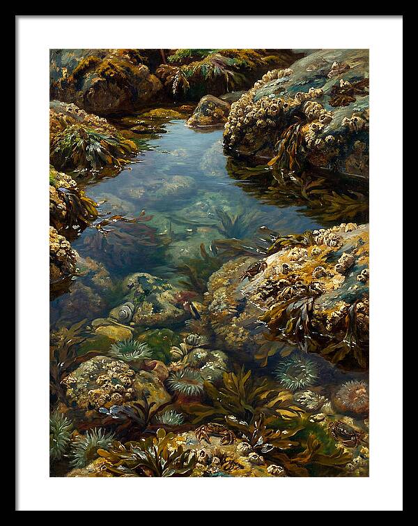 Calm Waters Embrace