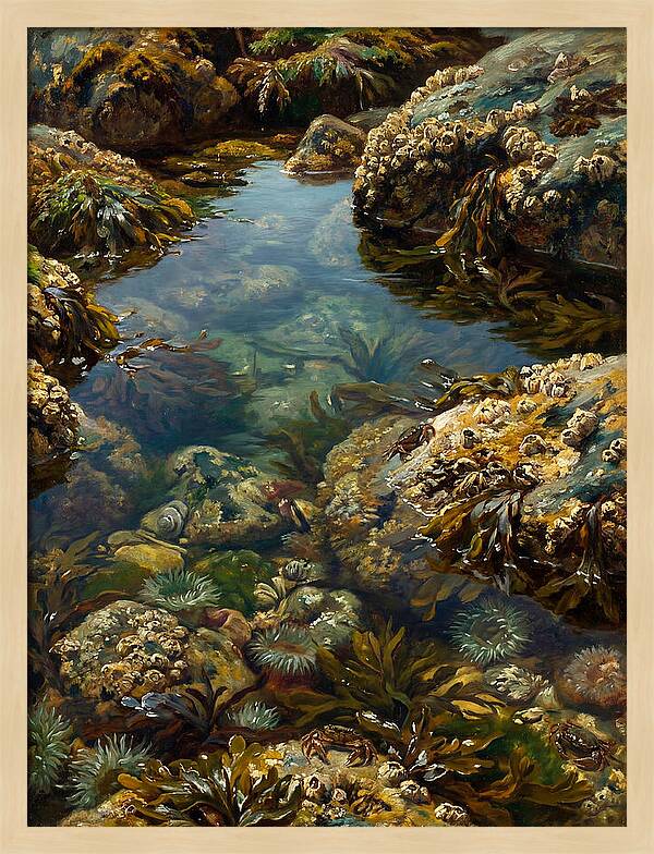 Calm Waters Embrace