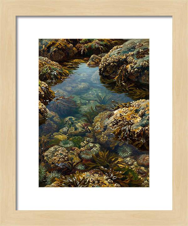 Calm Waters Embrace