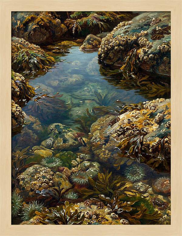 Calm Waters Embrace