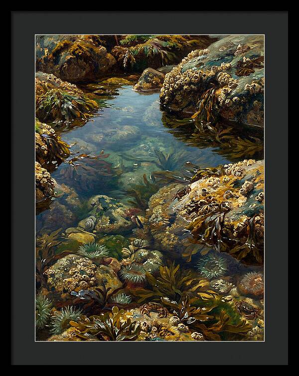 Calm Waters Embrace
