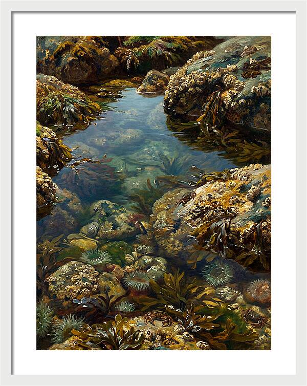 Calm Waters Embrace