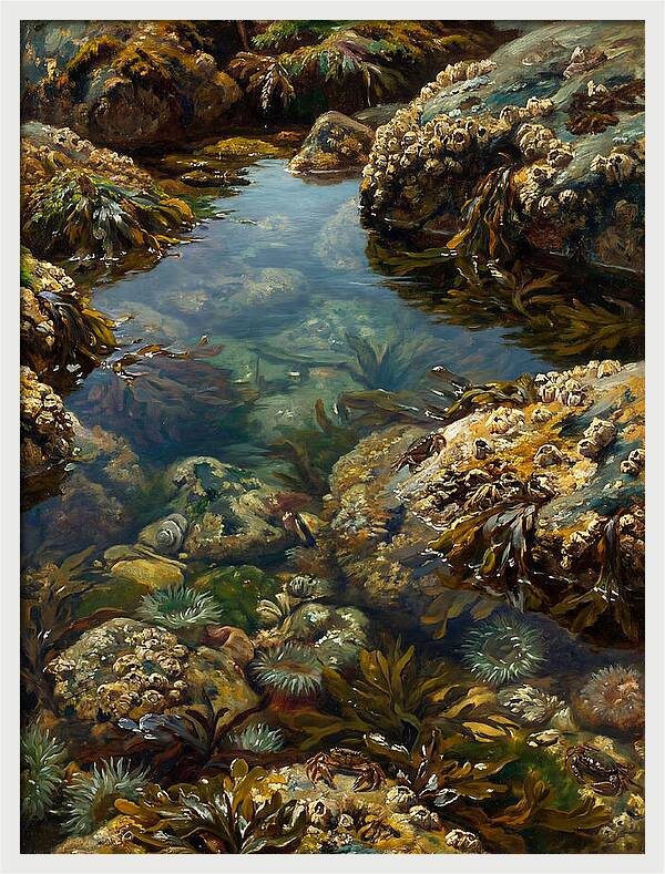 Calm Waters Embrace