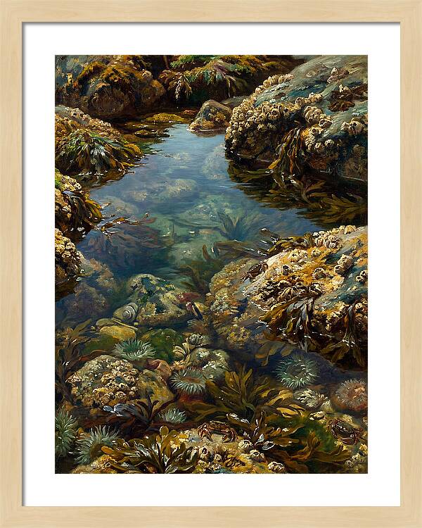 Calm Waters Embrace