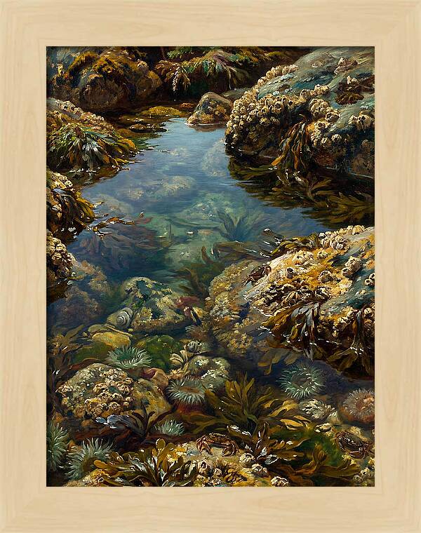 Calm Waters Embrace