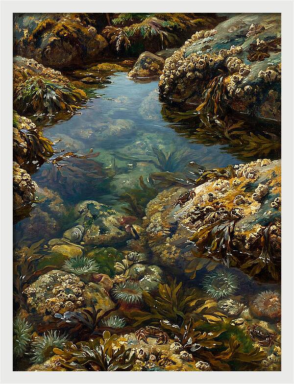 Calm Waters Embrace