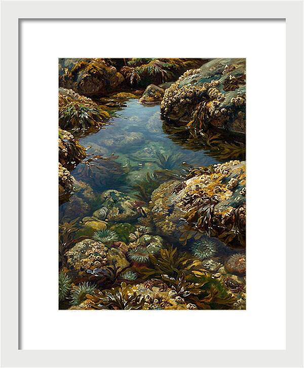 Calm Waters Embrace