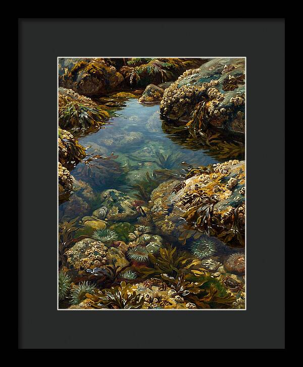 Calm Waters Embrace