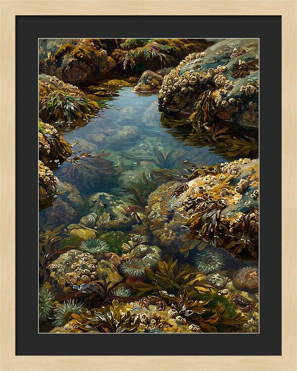 Calm Waters Embrace