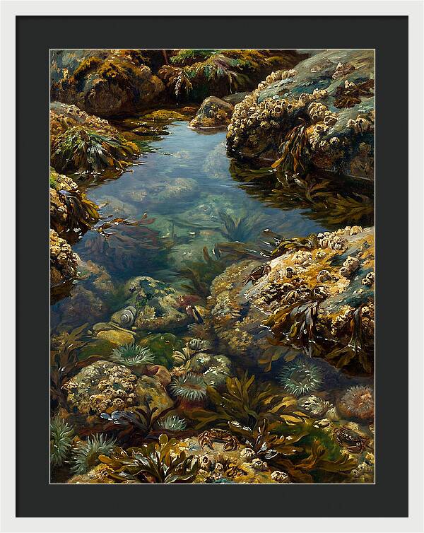 Calm Waters Embrace