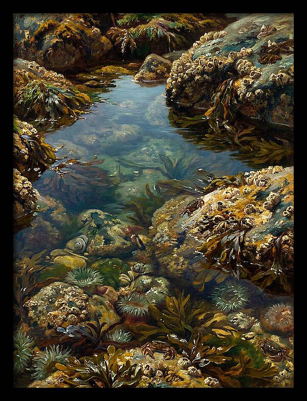 Calm Waters Embrace