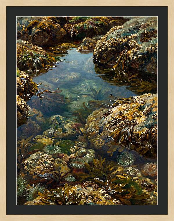 Calm Waters Embrace