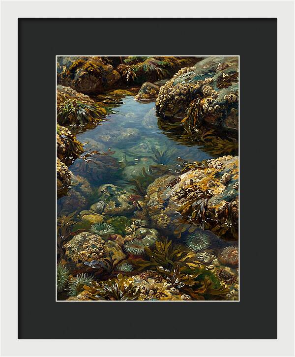 Calm Waters Embrace
