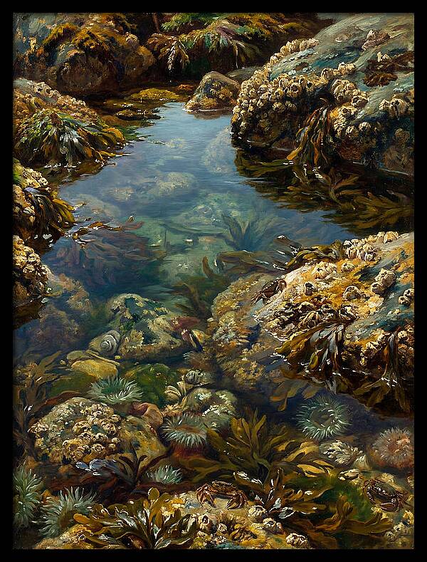 Calm Waters Embrace
