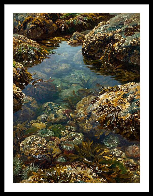 Calm Waters Embrace