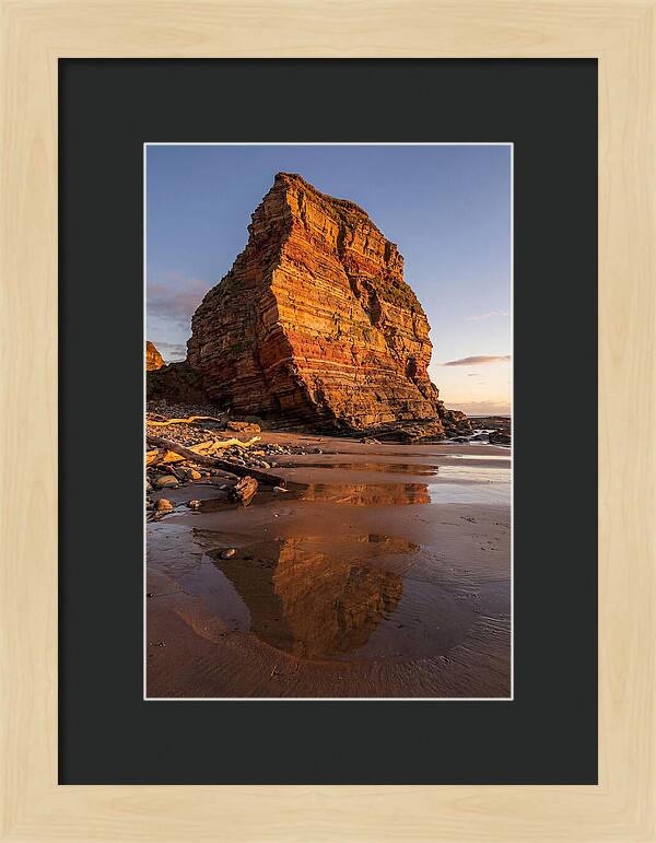Calvert Cliffs Reflection