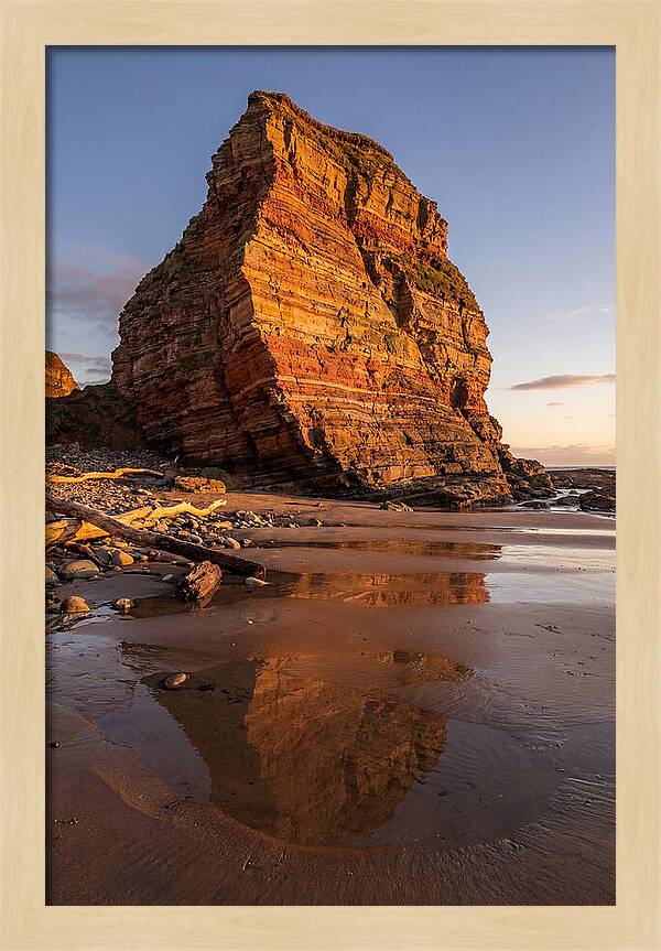Calvert Cliffs Reflection