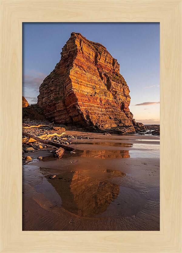 Calvert Cliffs Reflection