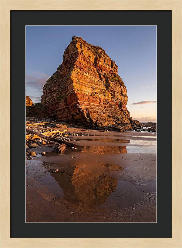 Calvert Cliffs Reflection