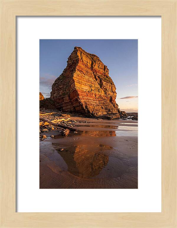 Calvert Cliffs Reflection