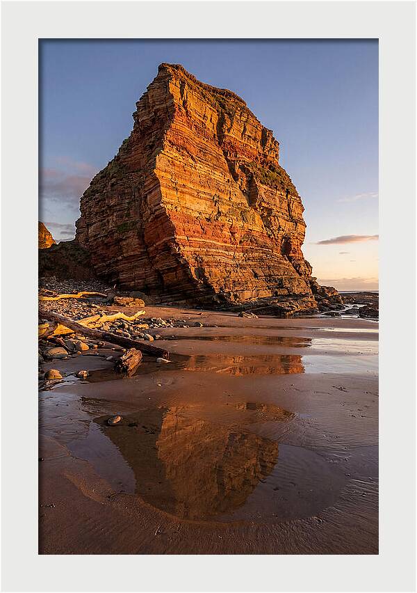 Calvert Cliffs Reflection
