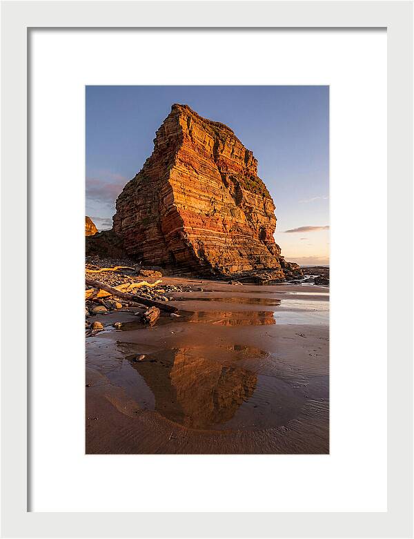 Calvert Cliffs Reflection