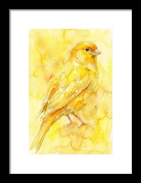 Canary In Watercolor Bliss