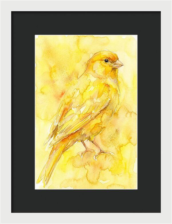 Canary In Watercolor Bliss