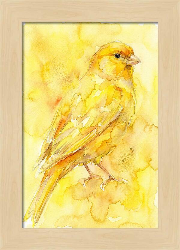 Canary In Watercolor Bliss