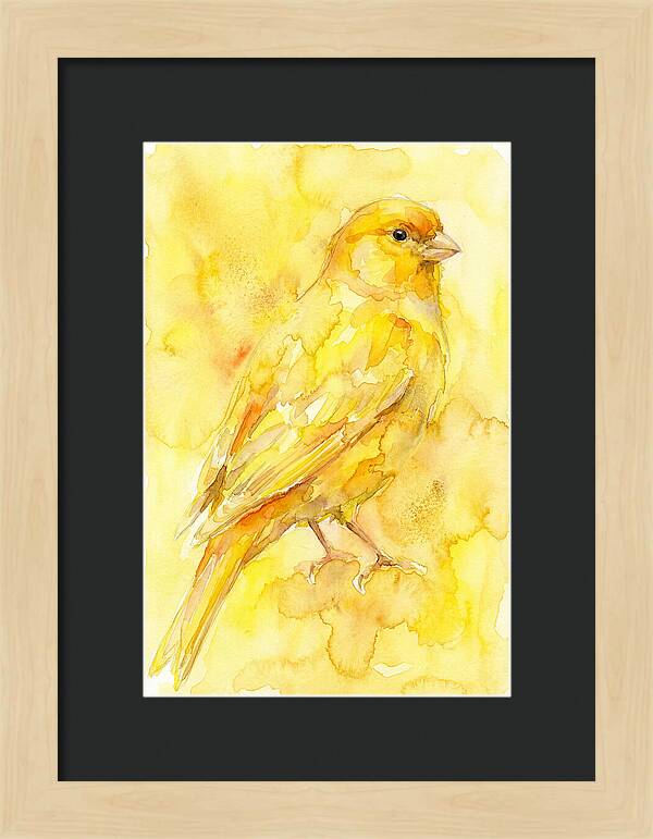 Canary In Watercolor Bliss