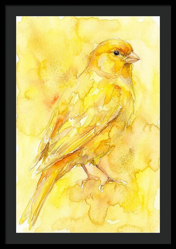 Canary In Watercolor Bliss