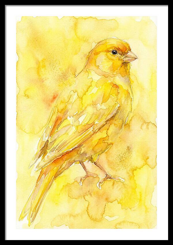 Canary In Watercolor Bliss
