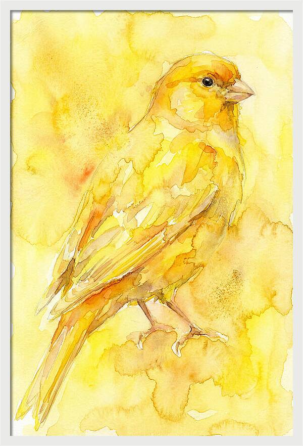 Canary In Watercolor Bliss