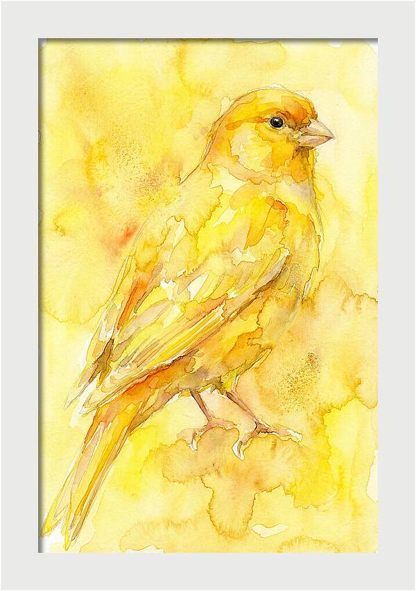 Canary In Watercolor Bliss