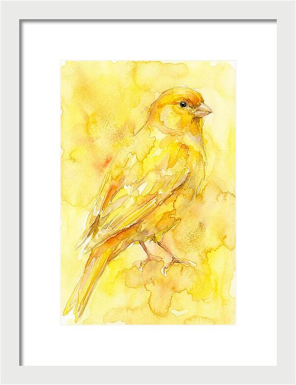 Canary In Watercolor Bliss