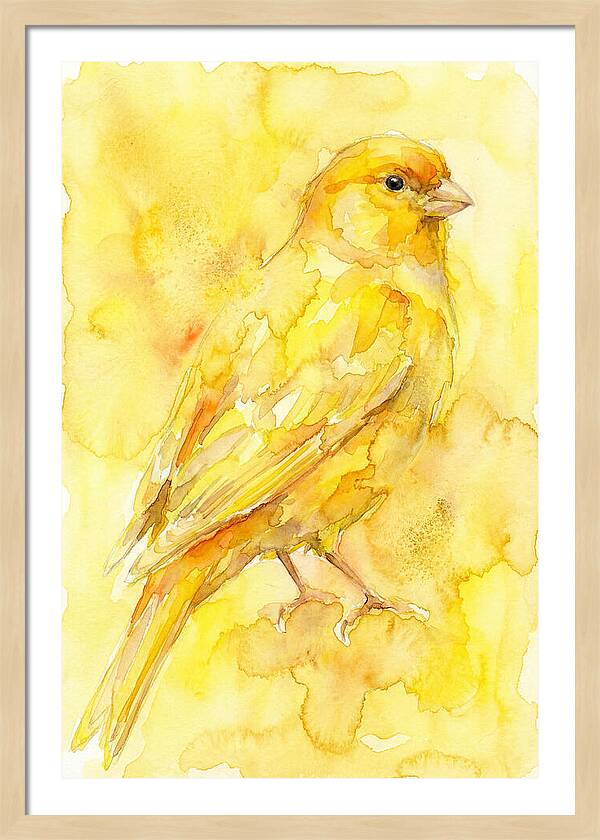 Canary In Watercolor Bliss