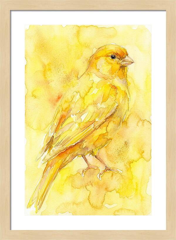 Canary In Watercolor Bliss