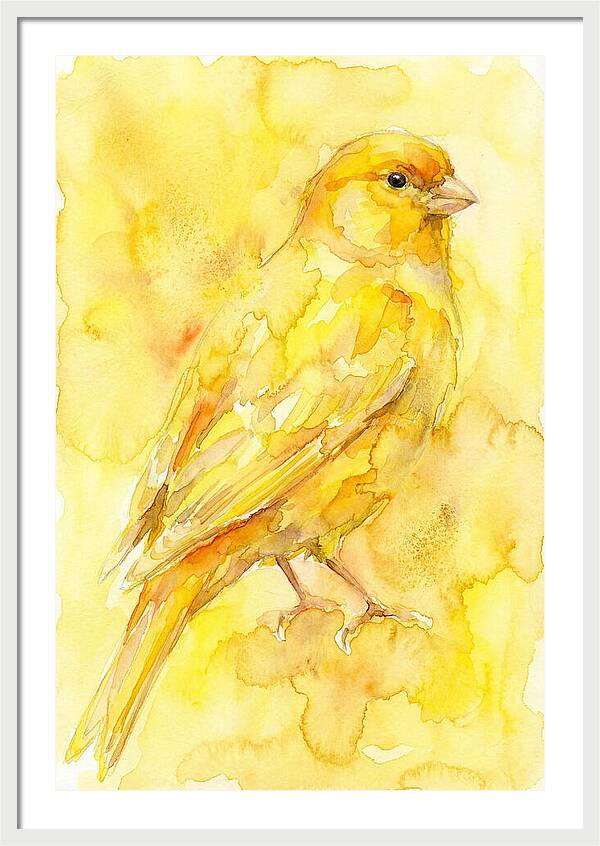 Canary In Watercolor Bliss